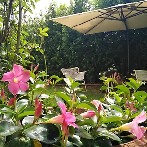  Bed & Breakfast Bio Vivere La